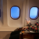 Illustration for article titled Each Passenger Has Own Theory About How Guy Got Into First Classem/em